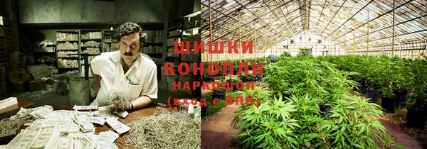 соль курить ск Бородино
